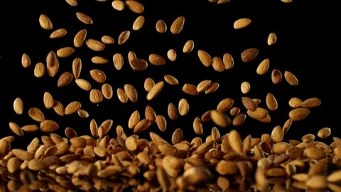 Super Slow Motion of Falling Almond Nuts with Reflection Stock Footage 251795413