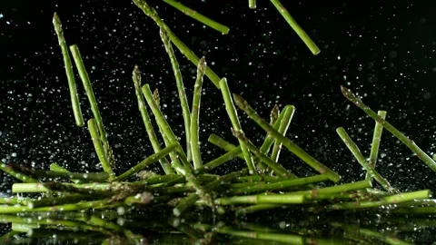 Super Slow Motion of Falling Asparagus into Water. Stock Footage 251662081