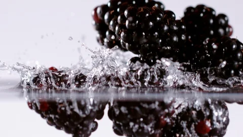 Super slow motion of falling blackberries into water, 1000 fps Stock Footage 90667381