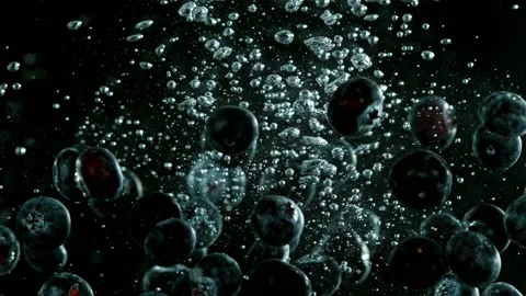 Super slow motion of falling blueberries into water on black background. Stock Footage 212016775