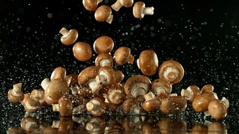 Super Slow Motion of Falling Champignons into Water. Stock Footage 251659756