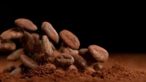 Super slow motion of falling group of roasted cocoa beans pieces Stock Footage 119443158