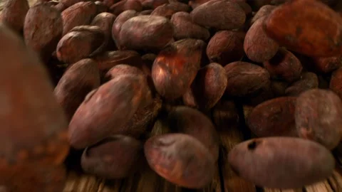 Super slow motion of falling group of cocoa beans on wood, camera follow Stock Footage 149428034