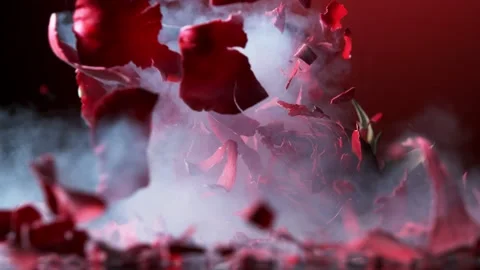 Super slow motion of falling head of red rose, frozen by liquid nitrogen Video stock 160438866