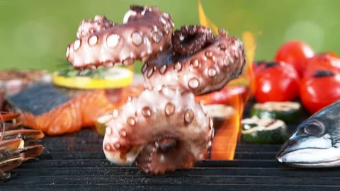 Super slow motion of falling octopus tentacles on grill grid. Stock Footage 154078429