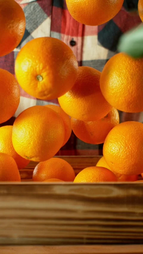 Super Slow Motion of Falling Oranges into Wooden Box. Stock Footage 293090222