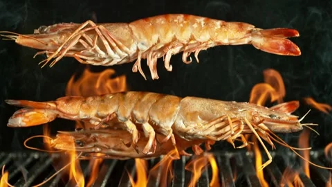 Super Slow Motion of Falling Prawns on Grill. Stock Footage 241430119