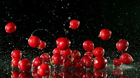 Super Slow Motion of Falling Radish into Water. Stock Footage 251661924