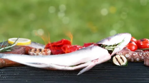 Super slow motion of falling sea bass on grill grid. Stock Footage 154079558