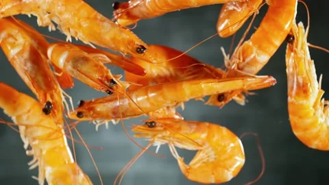 Super slow motion of falling shrimps on black background. Stock Footage 238462951