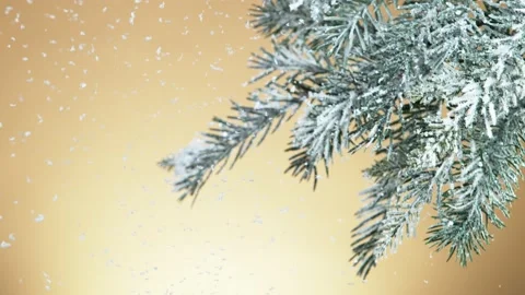 Super slow motion of falling snow with fir branch decoration Stock Footage 163092638