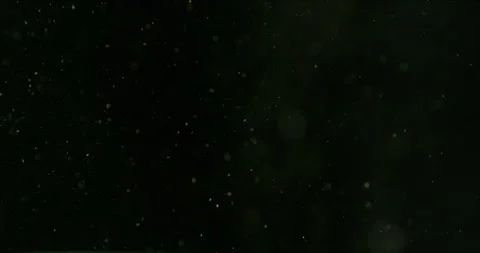 Super slow motion falling snow or dust particles isolated on a black background. Stock Footage 335279312