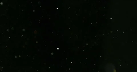 Super slow motion falling snow or dust particles isolated on a black background. Stock Footage 335284995