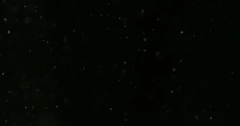 Super slow motion falling snow or dust particles isolated on a black background. Stock Footage 335285175
