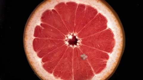 Super slow motion of falling Water Drop on Grapefruit slice. Filmed on high Stock Footage 199132516
