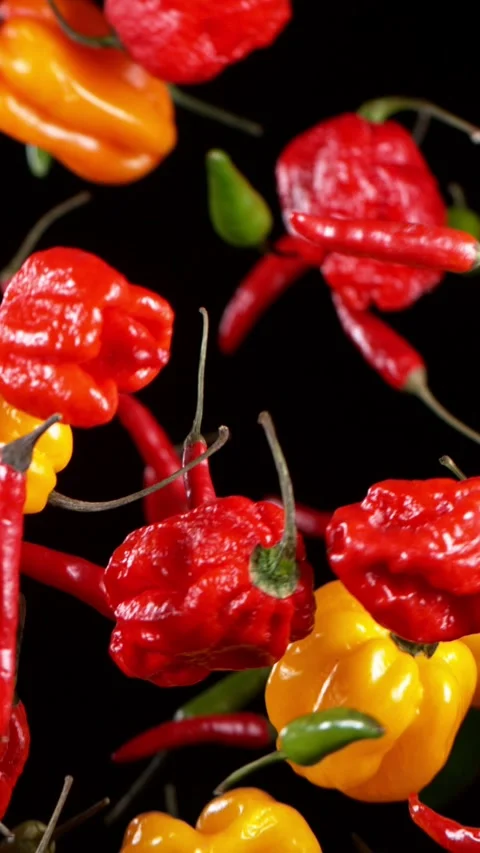 Super Slow Motion of Flying Colored Chilli Peppers. Stock Footage 290868072