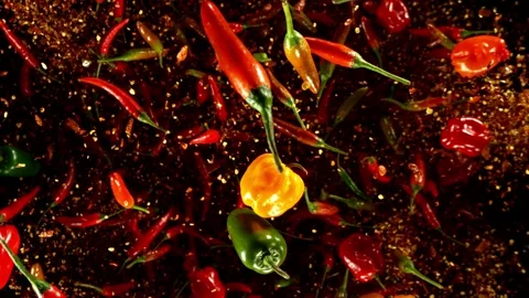 Super Slow Motion of Flying Colored Chilli Peppers with Dry Powder. Stock Footage 306669395