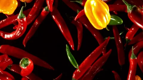 Super Slow Motion of Flying Coloured Chilli Peppers on Black Background. Stock Footage 282295682