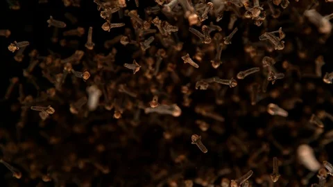Super slow motion of flying dry clove spice in zero gravity motion Stock Footage 120513071