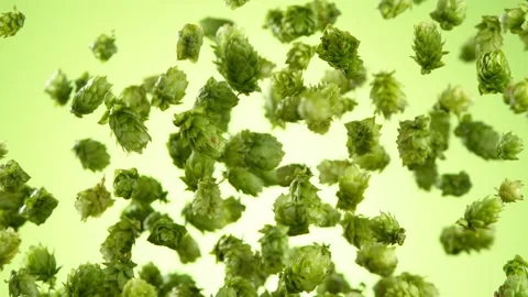 Super slow motion of flying fresh hops cones. Stock Footage 202627237