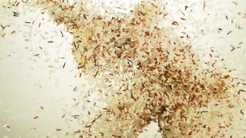 Super slow motion of flying rice pieces up in the air. Stock Footage 139811796