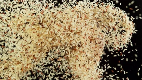 Super slow motion of flying rice pieces up in the air. Stock Footage 139812531