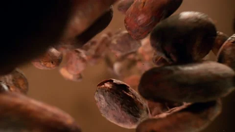 Super slow motion of flying roasted cocoa beans, macro shot. Stock Footage 149216874