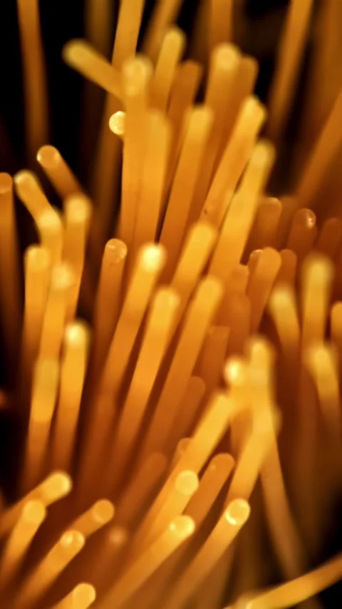 Super slow motion flying spaghetti pasta . Filmed on a high-speed camera at 1000 Stock Footage 335384753