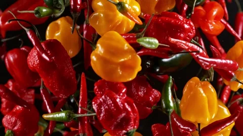 Super slow motion of flying various kinds of chilli peppers. Video stock 165739685