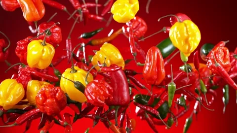 Super slow motion of flying various kinds of chilli peppers. Stock Footage 165740485