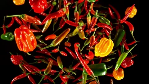 Super slow motion of flying various kinds of chilli peppers. Stock Footage 282439953