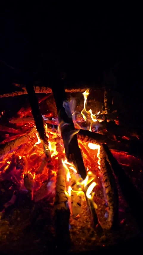 Super slow-motion footage of a campfire at night. Polished logs smolder and.. Video stock 296756742