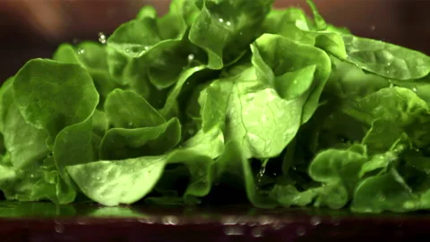 Super slow motion fresh lettuce leaves fall on the table.Filmed on a high-speed Stock Footage 153455406
