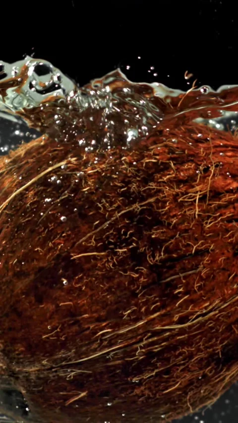 Super slow motion fresh topical coconuts . Filmed on a high-speed camera at 1000 動画素材 335367851