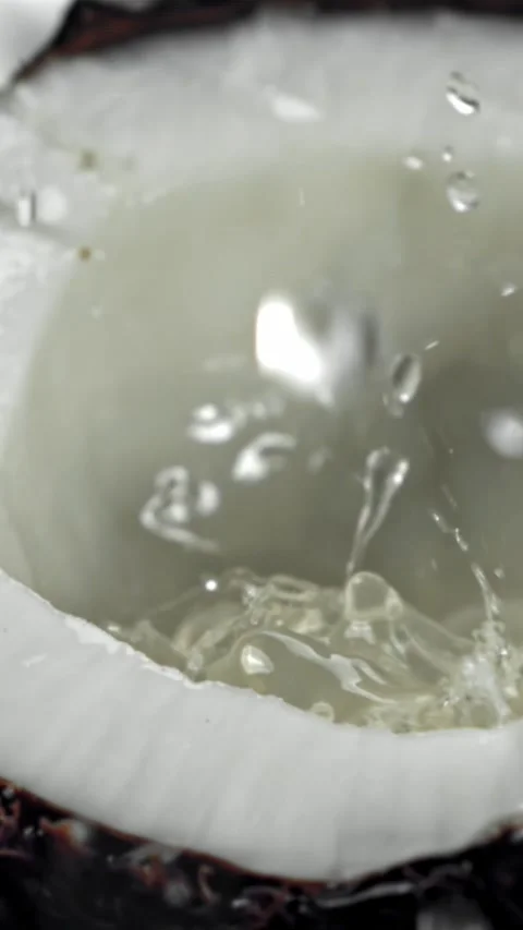 Super slow motion fresh topical coconuts . Filmed on a high-speed camera at 1000 動画素材 335369555