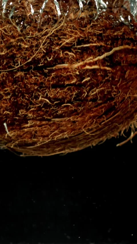 Super slow motion fresh topical coconuts . Filmed on a high-speed camera at 1000 動画素材 335384560