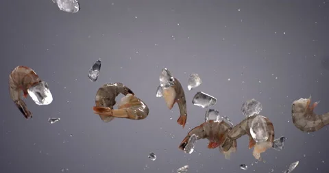SUPER SLOW MOTION Fresh uncooked scampi shrimps flying along with ice cubes Stock Footage 152787297