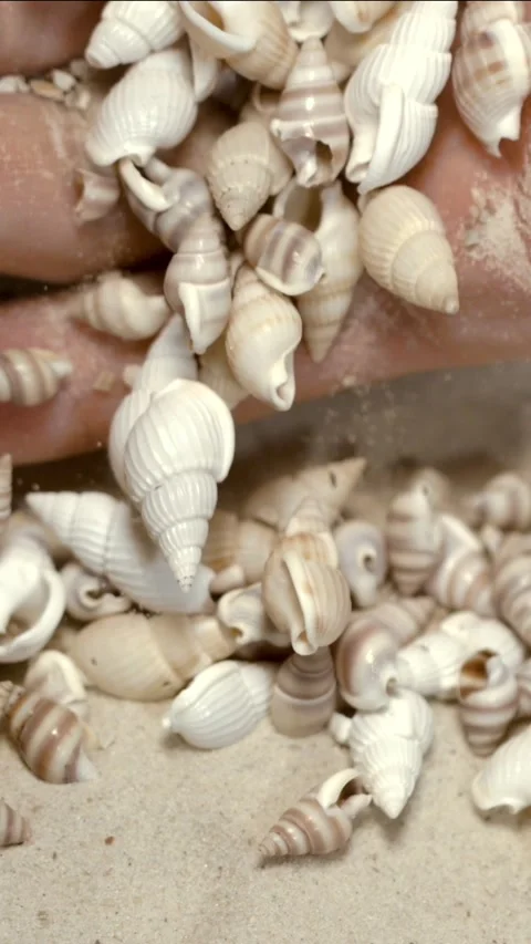 Super Slow Motion Hand Spilling Abundant Shells  Stock Footage 335109146