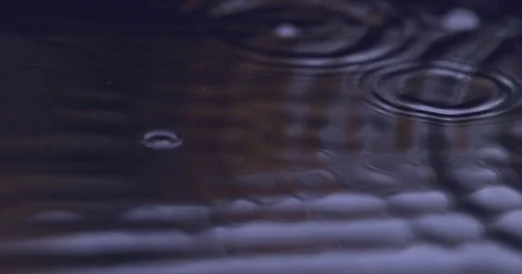 Super slow motion heavy rain drops close up shot on Phantom Flex 4K 스톡 동영상 85253393
