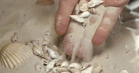 Super Slow Motion An Intimate Scene Capturing Hands Releasing Spiral Shells Stock Footage 335848233