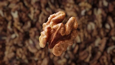 Super slow motion macro shot of flying walnut. Video stock 144976422
