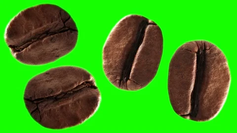 Super slow motion macro shot of different flying coffee beans on green screen Stock Footage 165531145