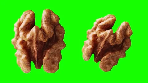 Super slow motion macro shot of flying walnuts on green screen, alpha channel. Stock Footage 165548126