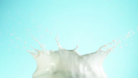 Super slow motion of milk splash isolated on soft blue background Stock Footage 128290514