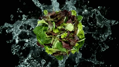 Super slow motion of mix salad with splashing water. Stock Footage 223672945