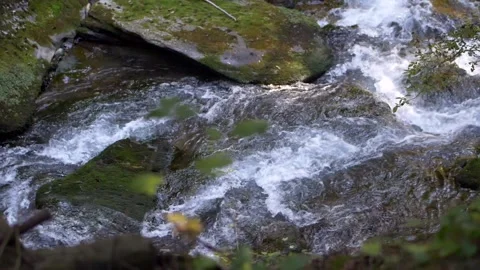 Super slow motion mountain stream. Flowing Water. Video stock 167509829