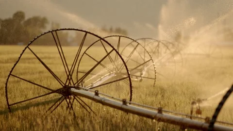 Super slow motion old irrigation watering fields, phantom Stock Footage 204047396