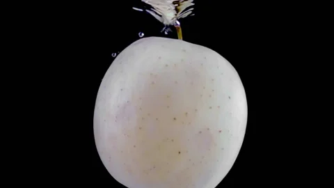 Super slow motion, one green apple falls into the water Stock Footage 196663772