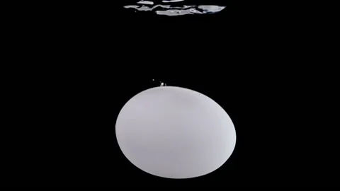 Super slow motion, one white  egg falls into the water Video stock 196223399