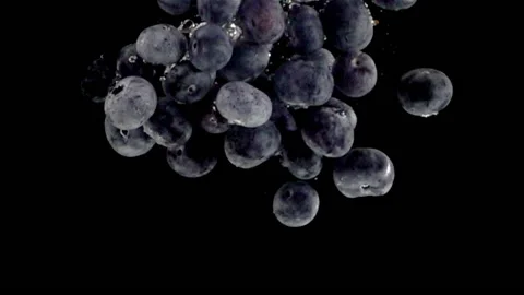 Super slow motion, a pile of blueberries fall into water on black background. Stock Footage 196668892